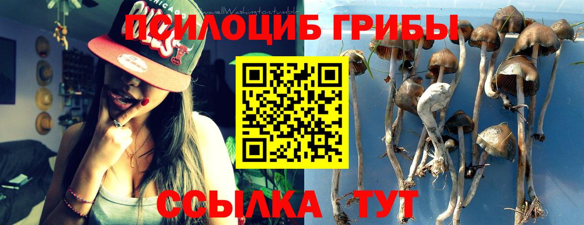 Псилоцибиновые грибы GOLDEN TEACHER Усинск